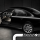 Illustration for article titled Saab Is Too Poor To Go Bankrupt